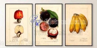 Tải file File gốc in bộ tranh decor treo tráng gương canvas GB21000 (ảnh gốc) độ phân giải 300dpi