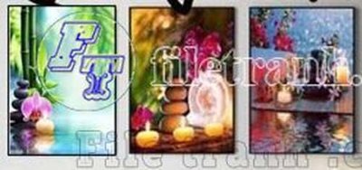 File tranh File gốc in bộ tranh decor treo tráng gương canvas GB21127 (gốc) chủ đề thiên nhiên