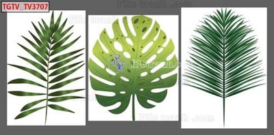 File tranh in tráng gương File gốc in bộ tranh decor treo tráng gương canvas GB21248 (siêu nét)