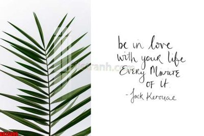 Tải file gốc File gốc in bộ tranh decor treo tráng gương canvas GB25009 (in không vỡ ảnh)