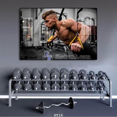 Download file File tranh treo phòng gym GYM16 (chất lượng in ấn)