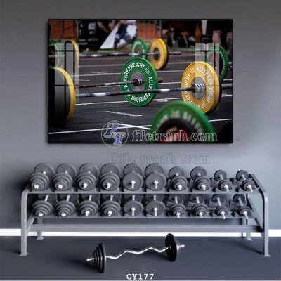 File tranh File tranh treo phòng gym GYM177 (ảnh gốc) độc quyền