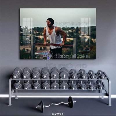 File tranh File tranh treo phòng gym GYM221 (gốc) chủ đề tĩnh vật
