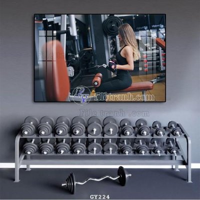 File in trần File tranh treo phòng gym GYM224 (bản gốc) hoa văn