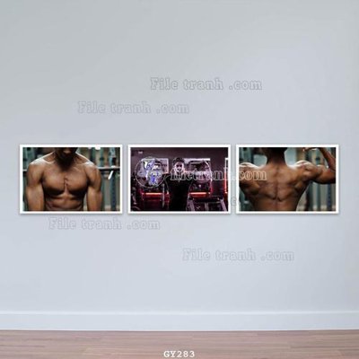 File tranh gốc File tranh treo phòng gym GYM283 (sắc nét từng chi tiết)