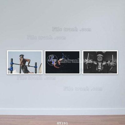 Chi tiết file tranh tráng gương File tranh treo phòng gym GYM291 (ảnh gốc)