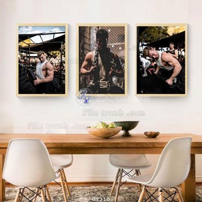 File in mica File tranh treo phòng gym GYM310 (bản gốc) làm vách ngăn