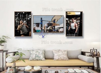 Tải file tranh File tranh treo phòng gym GYM324 (ảnh gốc) ngay