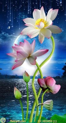 Tệp tin gốc File tranh treo hiện đại HD3459 (dùng cho in ấn) chuyên nghiệp