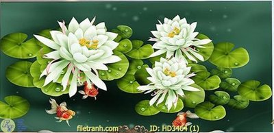 File tranh File tranh treo hiện đại HD3464 (ảnh gốc) độc quyền