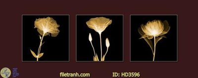 File in trần File tranh treo hiện đại HD3596 (bản gốc) trời sao