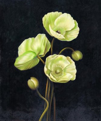 File tranh File tranh treo hiện đại HD4227 (ảnh gốc) in trần xuyên sáng