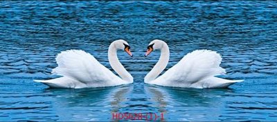 Ảnh mô tả file gốc in mica File tranh bộ hiện đại HD5628