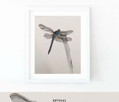 File ảnh File tranh hiện đại pha lê gương KF75543 (gốc) in standee