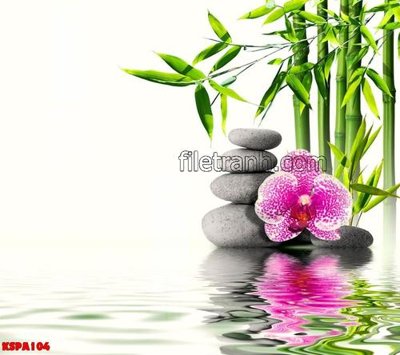 File in ấn chuyên nghiệp Tranh trang trí Spa làm đẹp KSPA104 (file gốc)