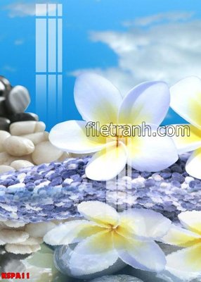 File in mica Tranh trang trí Spa làm đẹp KSPA11 (bản gốc) sắc sảo