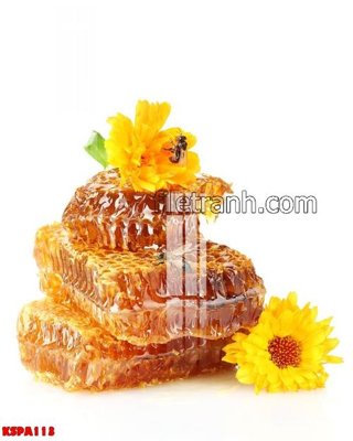 Tải file Tranh trang trí Spa làm đẹp KSPA113 (PSD) cho in tranh 3D