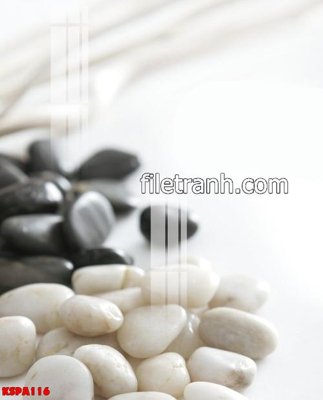 Tải file gốc Tranh trang trí Spa làm đẹp KSPA116 (in khổ lớn) không mờ