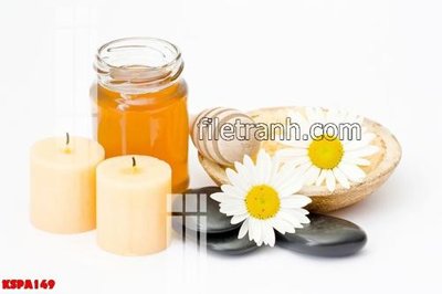 File PSD Tranh trang trí Spa làm đẹp KSPA149 (nguyên bản) cho thiết kế