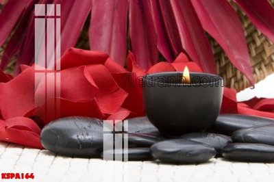 File gốc Tranh trang trí Spa làm đẹp KSPA164 (in tráng gương) ốp tường