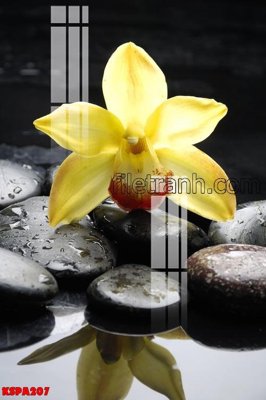 Tải file gốc Tranh trang trí Spa làm đẹp KSPA207 (in khổ lớn) không mờ