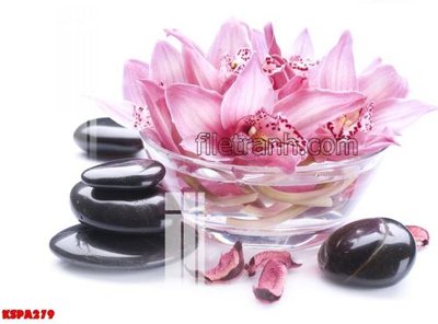 Tải file Tranh trang trí Spa làm đẹp KSPA279 (ảnh gốc) in tráng gương