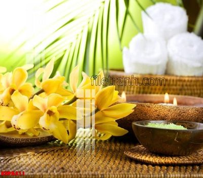 File gốc Tranh trang trí Spa làm đẹp KSPA311 (PNG) nền trong suốt