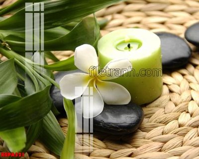 File tranh gốc Tranh trang trí Spa làm đẹp KSPA321 chủ đề hiện đại