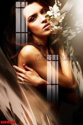 File in mica Tranh trang trí Spa làm đẹp KSPA324 (bản gốc) sắc sảo