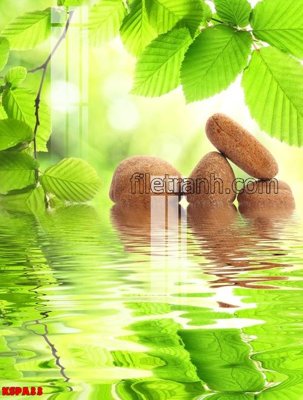 Download file gốc Tranh trang trí Spa làm đẹp KSPA33 (in mica) trong suốt