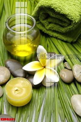 Download file gốc Tranh trang trí Spa làm đẹp KSPA331 (dùng cho in ấn)