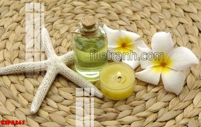 Download file Tranh trang trí Spa làm đẹp KSPA347 (gốc) in mica ốp bếp