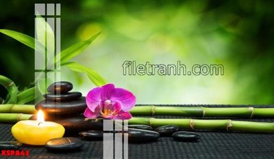 File tranh Tranh trang trí Spa làm đẹp KSPA43 (ảnh gốc) in trần nhà