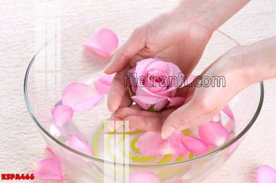 Tải file Tranh trang trí Spa làm đẹp KSPA466 (gốc) chủ đề tôn giáo