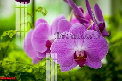 File tranh Tranh trang trí Spa làm đẹp KSPA483 (bản gốc) treo phòng ăn