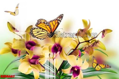 Download file gốc Tranh trang trí Spa làm đẹp KSPA487 (in mica) trong suốt