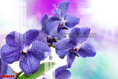 File gốc Tranh trang trí Spa làm đẹp KSPA493 (in lụa) họa tiết 3D