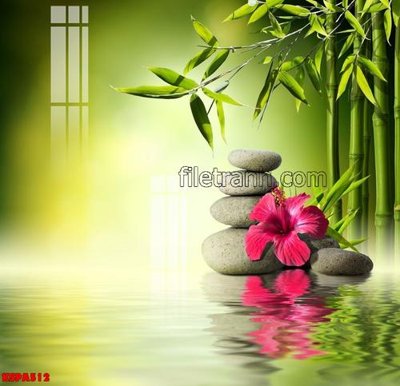 File tranh quảng cáo Tranh trang trí Spa làm đẹp KSPA512 (download file gốc)