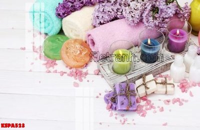 Tải file Tranh trang trí Spa làm đẹp KSPA523 (gốc) in ấn chất lượng