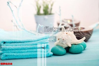 File tranh Tranh trang trí Spa làm đẹp KSPA528 (ảnh gốc) in trần nhà