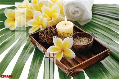 File tranh trang trí Tranh trang trí Spa làm đẹp KSPA53 (tải file gốc)