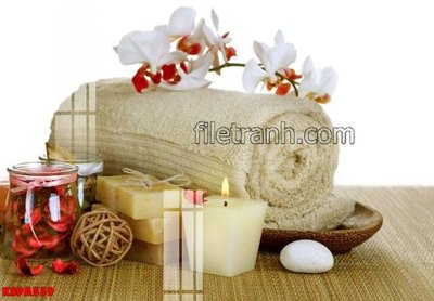 File gốc Tranh trang trí Spa làm đẹp KSPA539 (dành cho trang trí nội thất)