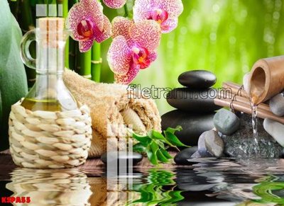 Tải file gốc Tranh trang trí Spa làm đẹp KSPA55 (in không vỡ ảnh)