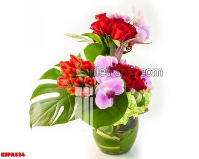 File tranh Tranh trang trí Spa làm đẹp KSPA554 (file gốc) chủ đề phong thủy