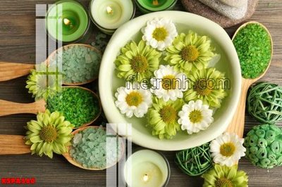 Hình ảnh file gốc in lụa Tranh trang trí Spa làm đẹp KSPA560