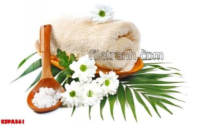 Tải file gốc Tranh trang trí Spa làm đẹp KSPA561 dùng cho in ấn