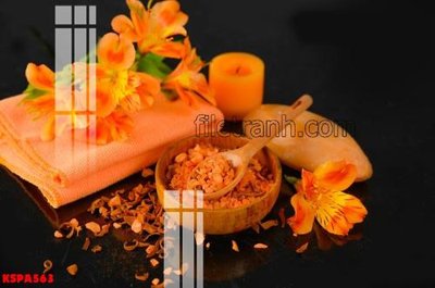 File gốc Tranh trang trí Spa làm đẹp KSPA563 (in 3D) nghệ thuật