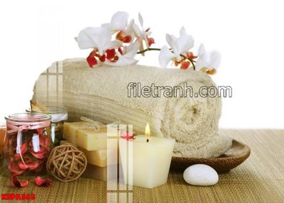 Tải file Tranh trang trí Spa làm đẹp KSPA565 (gốc) làm tranh trang trí