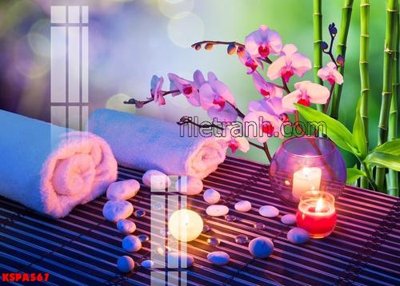 File tranh Tranh trang trí Spa làm đẹp KSPA567 (bản gốc) in canvas