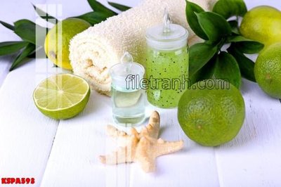 File gốc Tranh trang trí Spa làm đẹp KSPA593 (in tráng gương) ốp tường